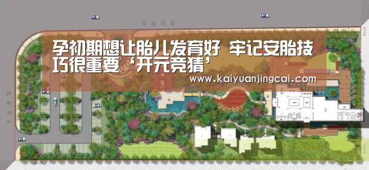 孕初期想让胎儿发育好 牢记安胎技巧很重要‘开元竞猜’(图2) 开元登录