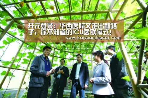 开元登录