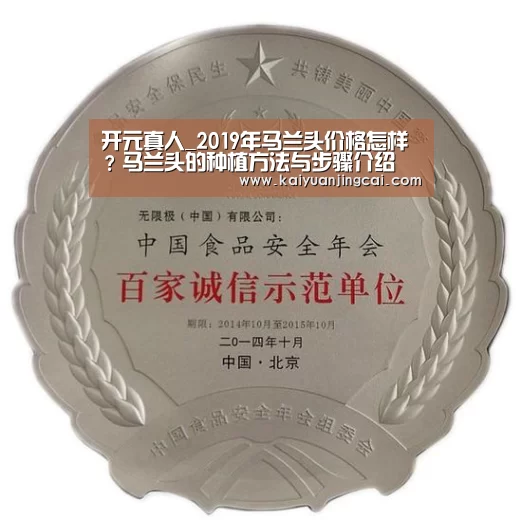 开元真人_2019年马兰头价格怎样?马兰头的种植方法与步骤介绍(图1) 开元登录