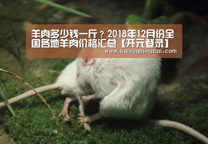 羊肉多少钱一斤?2018年12月份全国各地羊肉价格汇总【开元登录】(图1) 开元真人