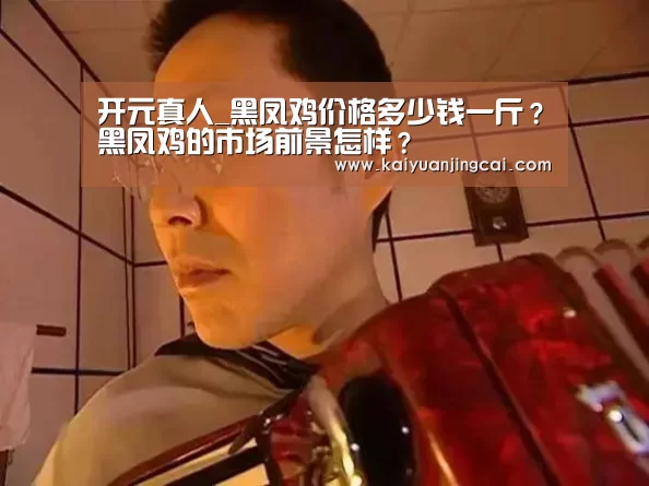 开元真人_黑凤鸡价格多少钱一斤?黑凤鸡的市场前景怎样?(图3) 开元真人