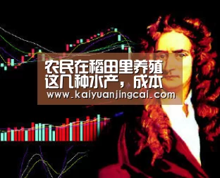 农民在稻田里养殖这几种水产,成本低,效益高!“开元登录”(图1) 开元登录