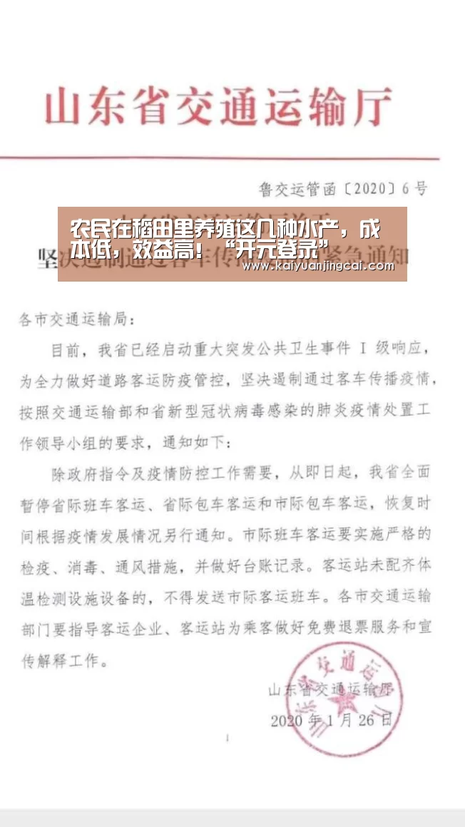 农民在稻田里养殖这几种水产,成本低,效益高!“开元登录”(图2) 开元竞猜