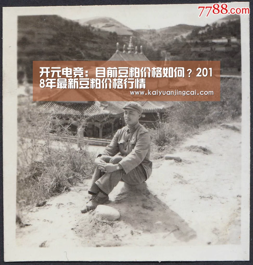 开元电竞:目前豆粕价格如何?2018年最新豆粕价格行情(图2) 开元真人