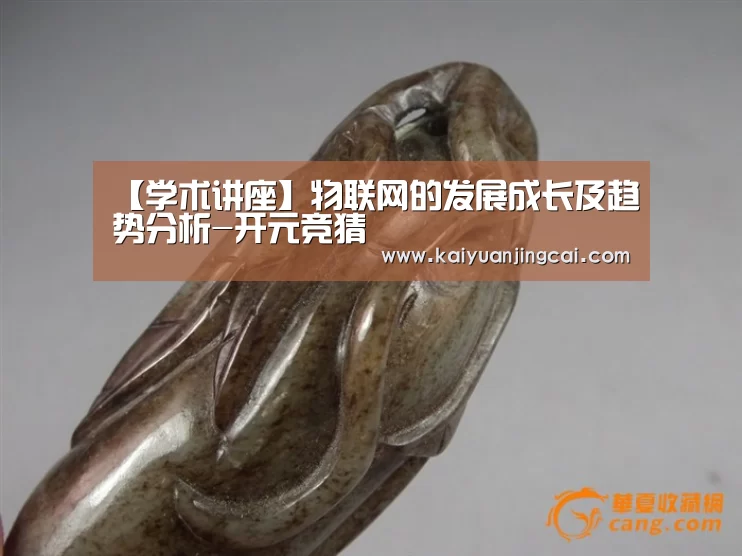 【学术讲座】物联网的发展成长及趋势分析-开元竞猜(图4) 开元竞猜