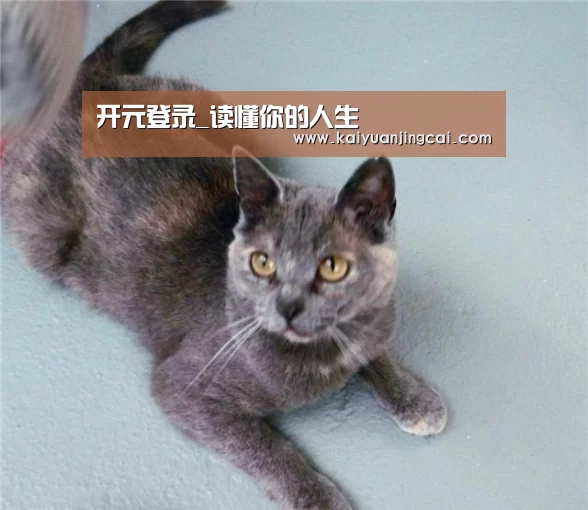 开元登录_读懂你的人生(图4) 开元竞猜